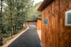 pension-4
